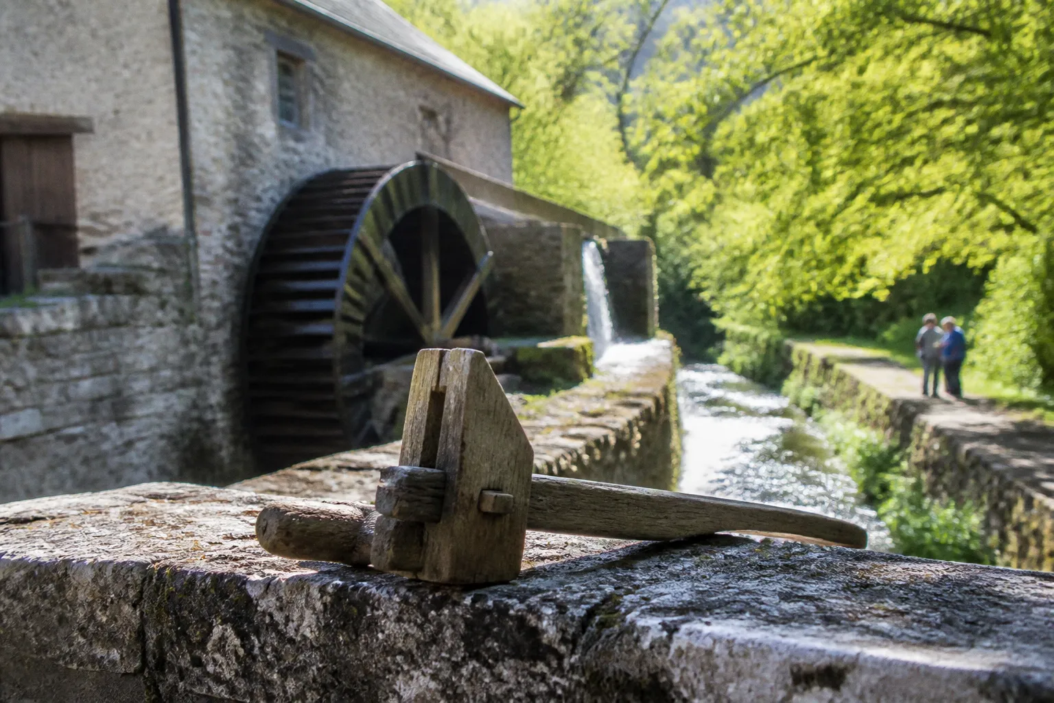 Bénévolat local : 5 clés pour éviter les erreurs de projet