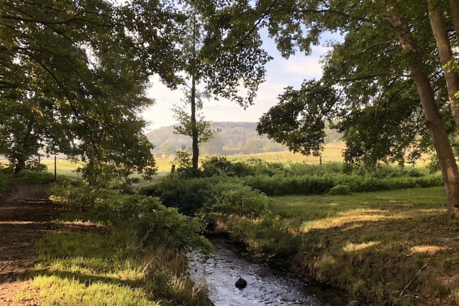 Découverte du Moulin d'Ors : une immersion historique au cœur de la vallée de Chevreuse
