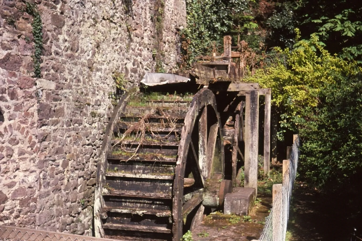 Héritage meunier du Somerset : l'épopée des moulins à eau