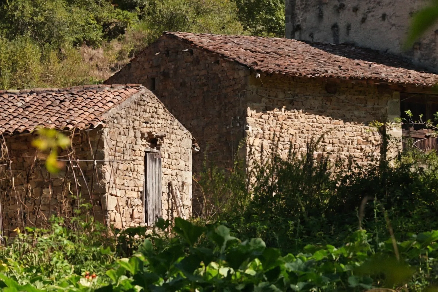 Le moulin de l'Hermite : un trésor du XVIIIe siècle sauvé par le Loto du patrimoine