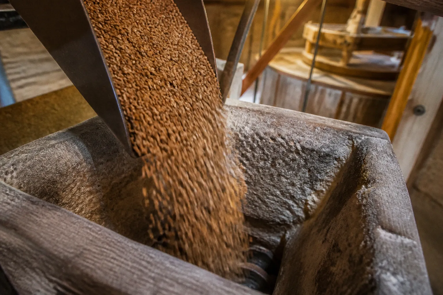 Mouillage du grain : ce qui change lors de la mouture