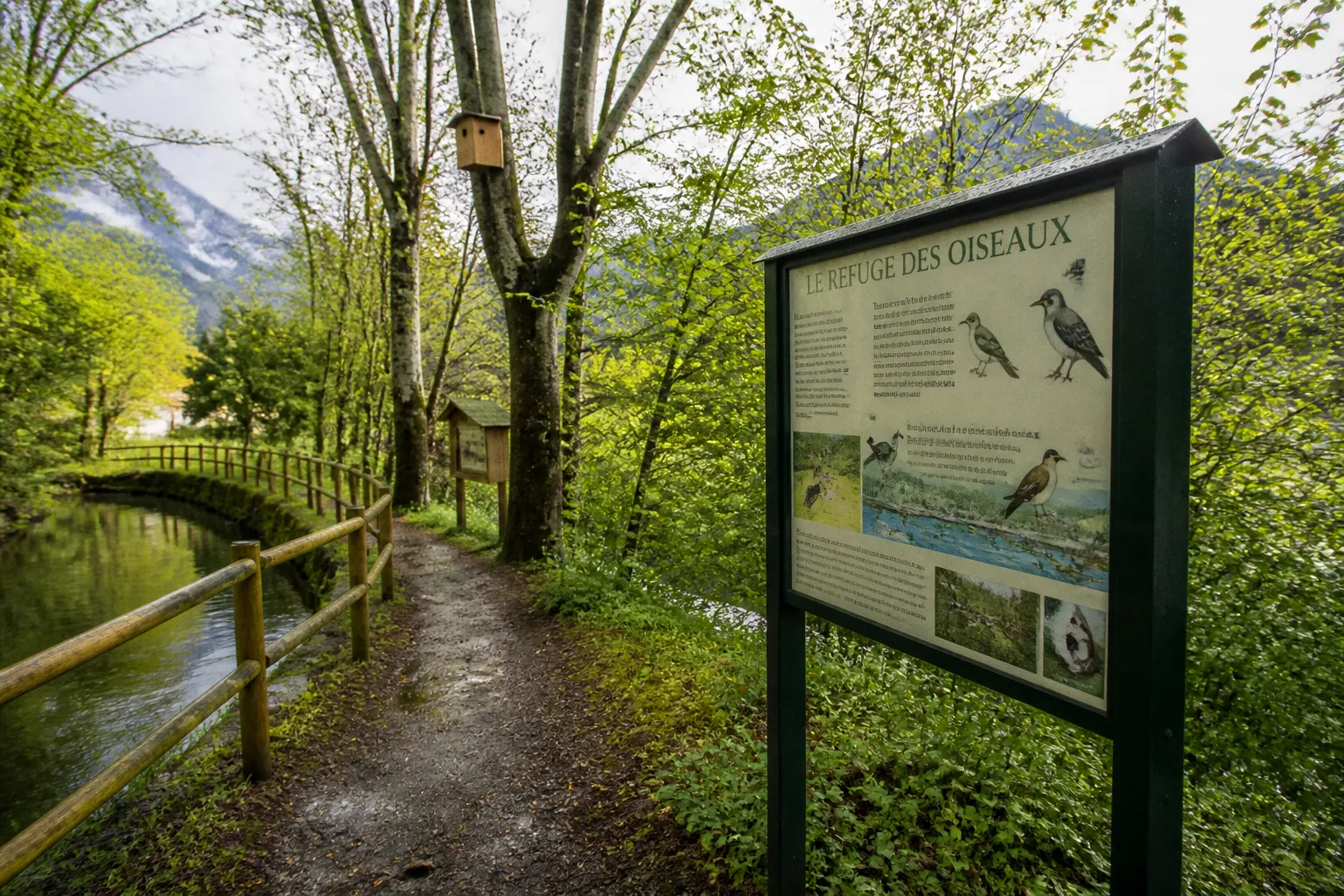 Randonnée au frais : le sentier facile du Moulin de Sachas