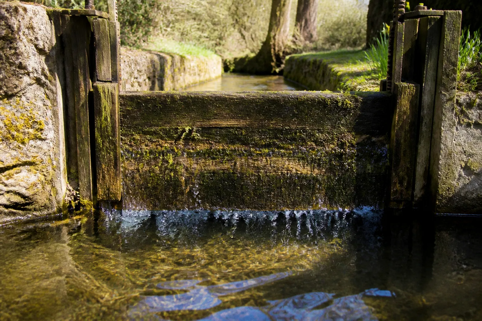 Restauration du bief de Sachas : les étapes du projet