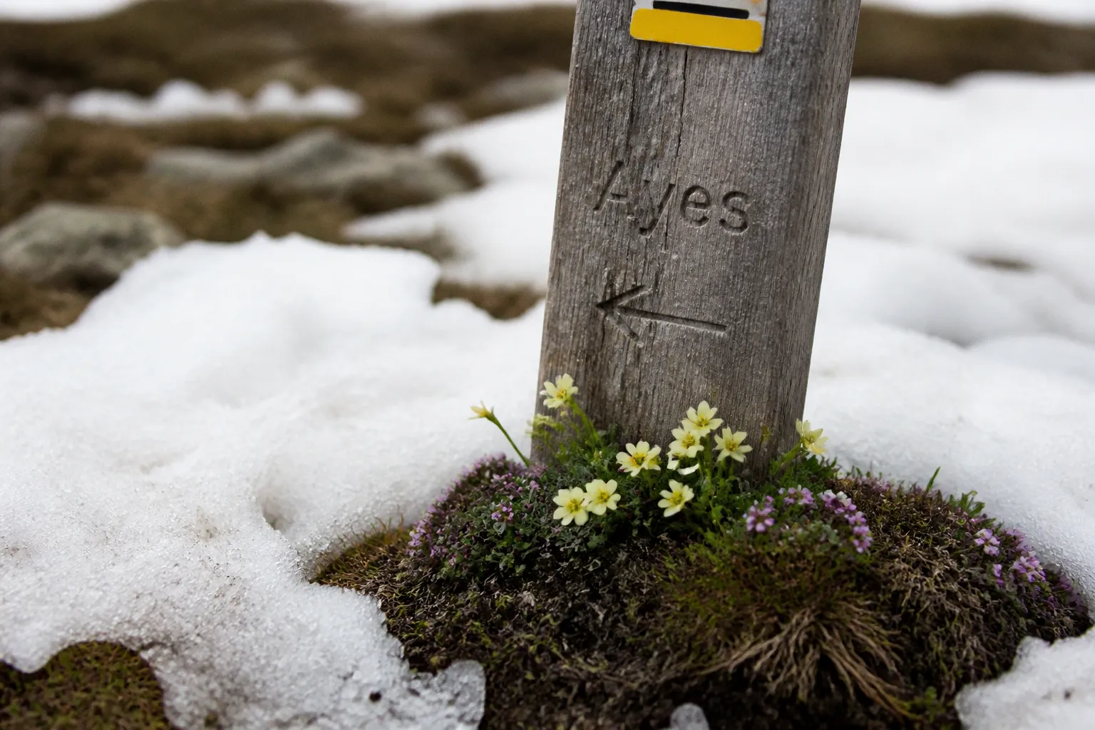Sentier des Ayes : le paysage après la fonte des neiges